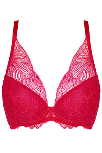 Rouge Spitzen Push-up rot